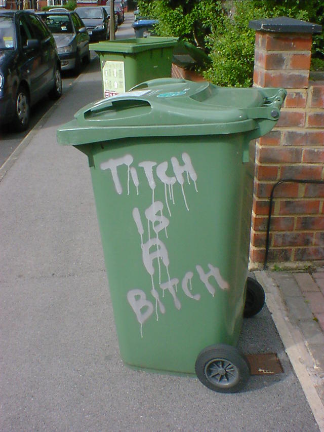 Titch is a Bitch, sprayed on the side of a wheelie bin.